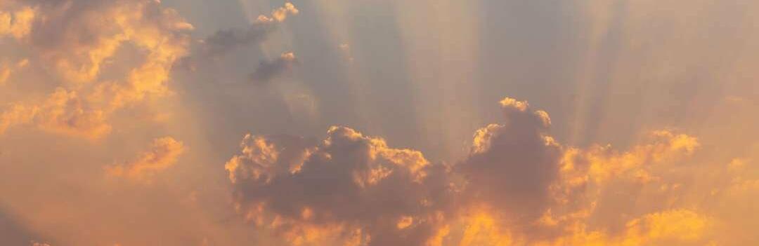  ������ ����� ���������� peter ������� ������ ����� ����� 