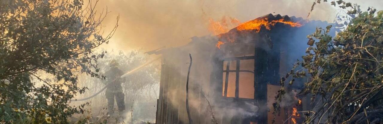  ������ ��������� ���������������� �������� ������� �������� ������ ������ 