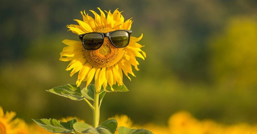  ������ ����� ����� ����� ������� ������ ������ ����� 