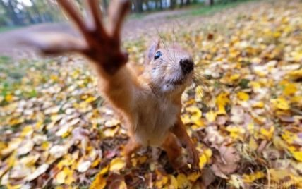  ���������� xelat ����� ������ ������� ������ ������ ����� 