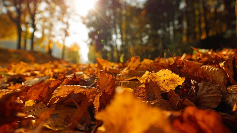  ����� ����������� ����� ������� ������ ������� ����� 