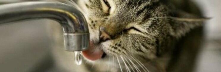  ����� ����� �������� ���������� ���������� ���� ������ 