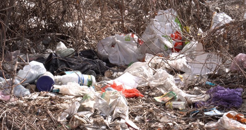  �������� ������ ����� �������� �-�� �������� ���������� 