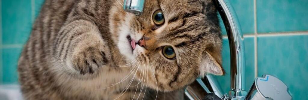  ��������� ������ ����� ����� ������ ������ ����� 