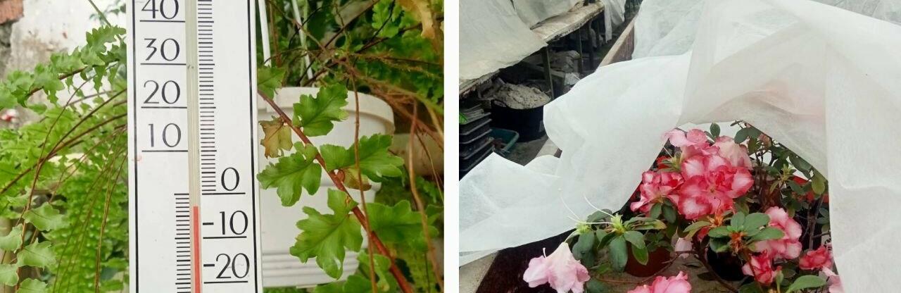  ����� ������� ����� ��������� �� ������ ������ 