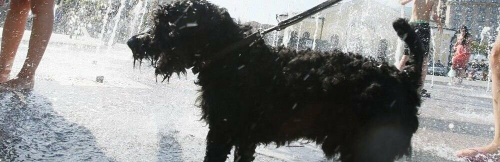 ����: 056.ua