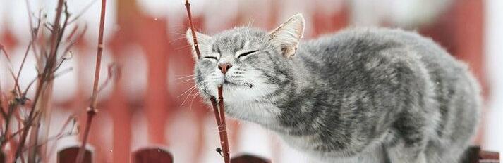  ������ ��������� ���� ��������� ������� ������ ������� ����� 