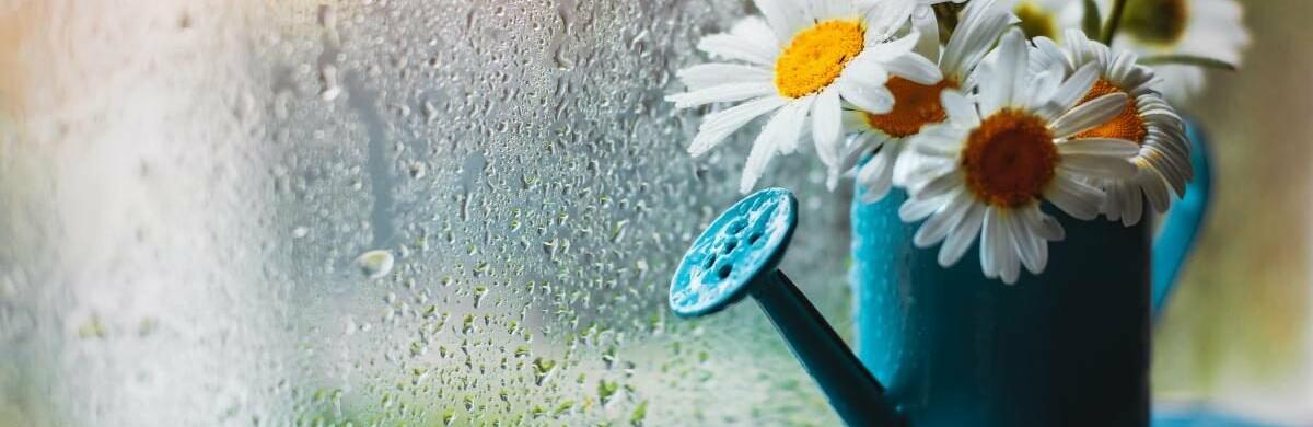 ����: 056.ua