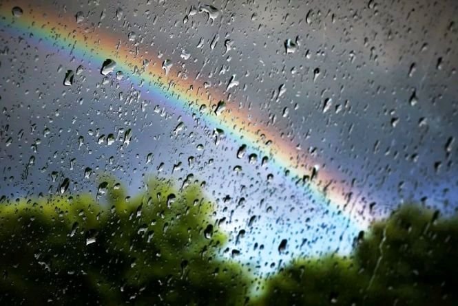  �������� ������� ����� ������ ���� ������ ��� ������� 