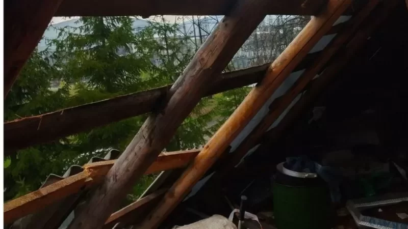  ��� �������� ���� ���� ������� ��������� ����� ���������� 