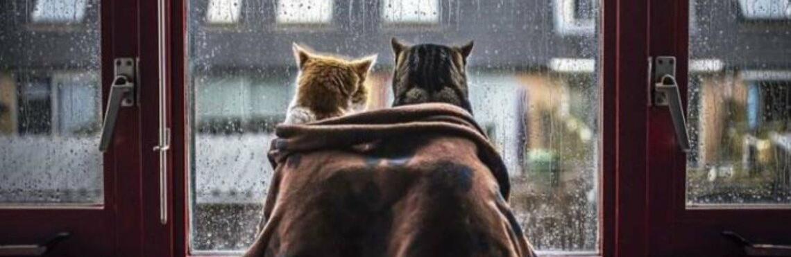  ������ ��������� ����������� ������� ������ ������� ����� 