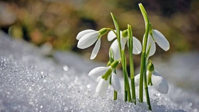  ������ ��������� ������ ������� ������ ������� ����� 