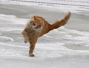  ����� ���� ������ ������ ��������� ������� ������ ���� 