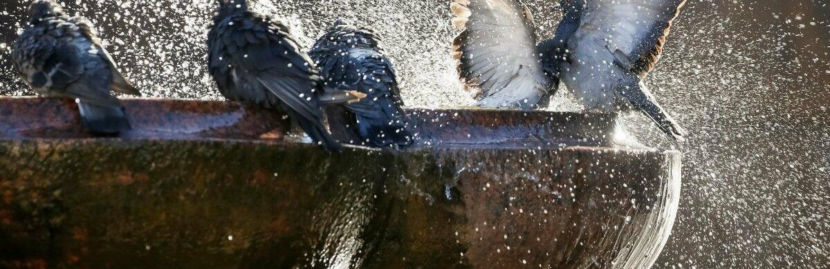  ������ ����������� ����� ���� ���� ������ ����� ������ 