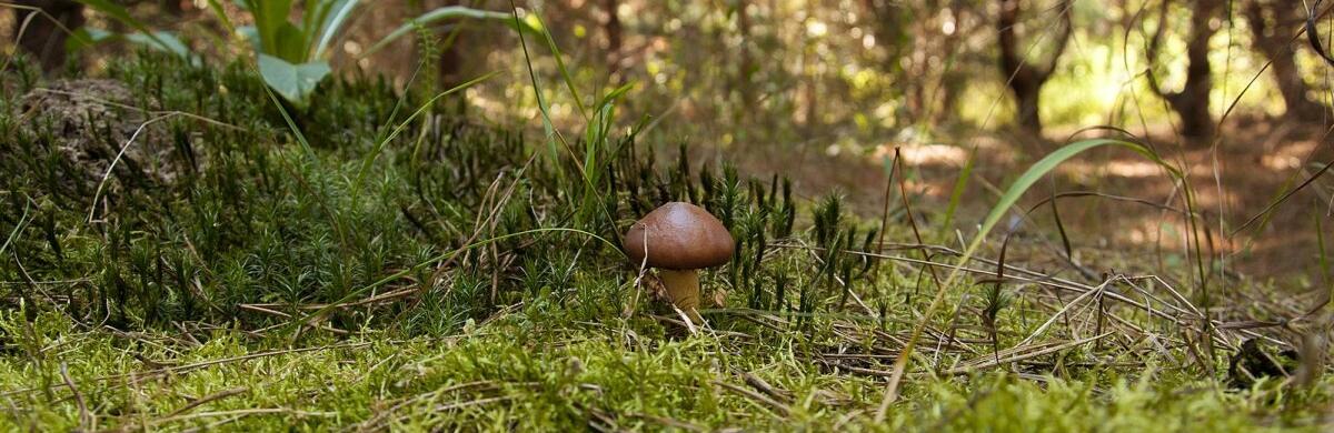  ������ ���������� ����������� ����� ���� ���� ������ ����� 