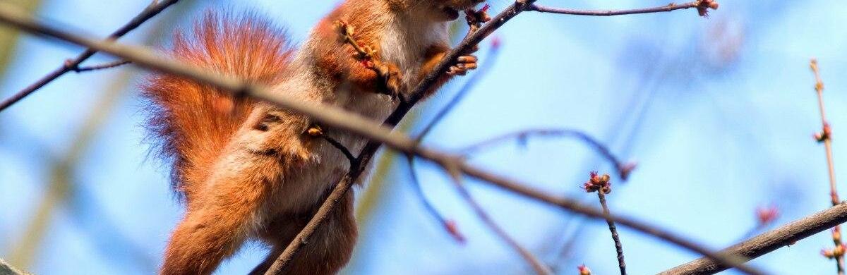  ������ ������ ��������� ������� ������ ����� 