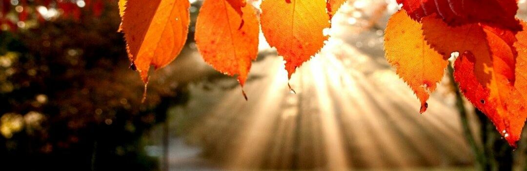  ������ ������ ��� ����� ���� ���������� ������� ������ 