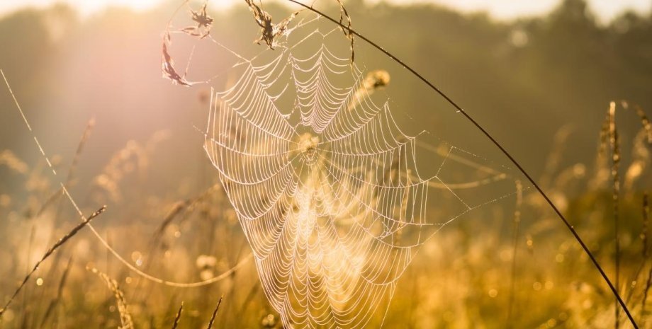  ������ ����� ������� ������ ������� ������ ������� ����� 