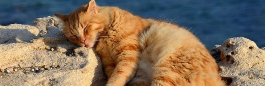  ������ ���������� ����� ������� ������ ������ ����� 