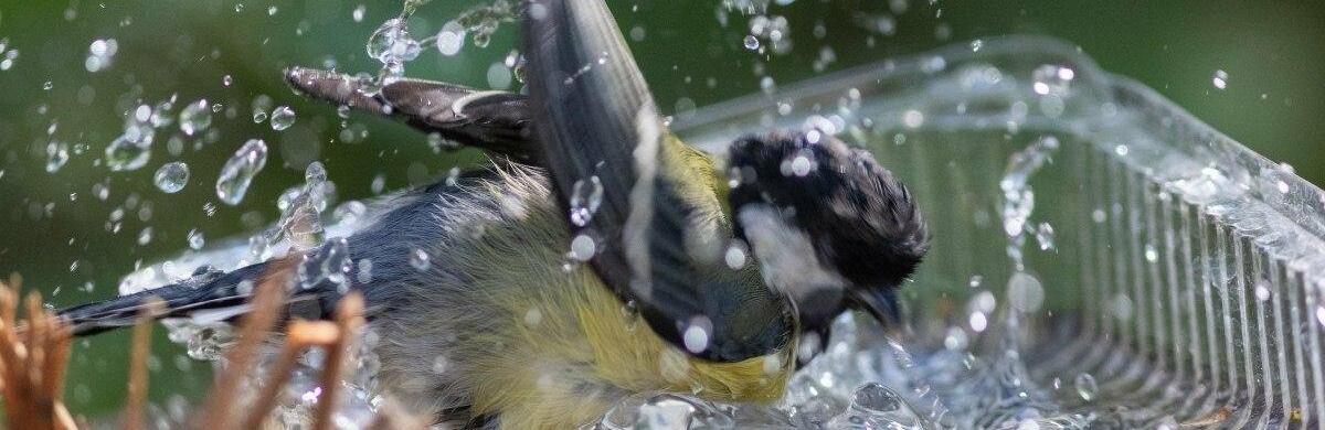  ��� ������ ��������� ������ ��� ����� ������� ������ 