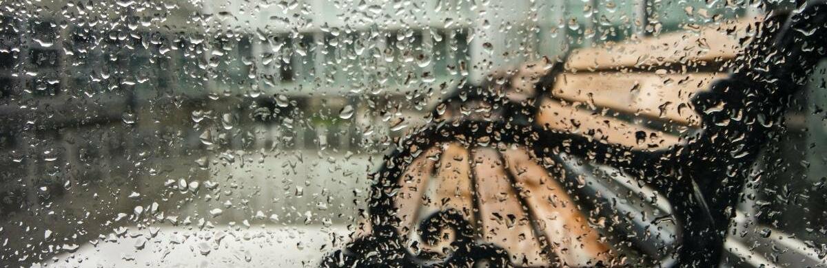  ������ ����������� ����� ���� ������ ���� ���� ���� 