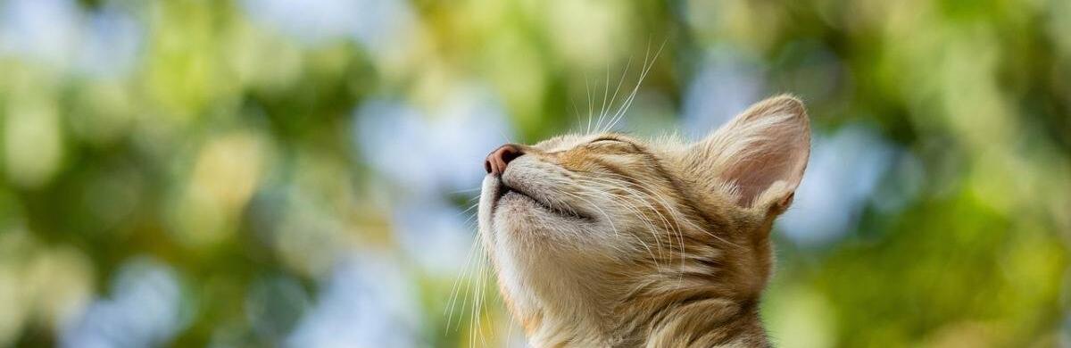  �� ������� �������� �������� �������� �������� ���� ����� 