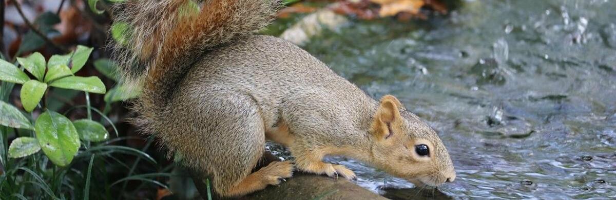 ����: 056.ua