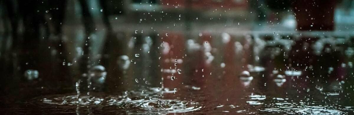  ���� ����� ���� ���� ������ ����� ������ 