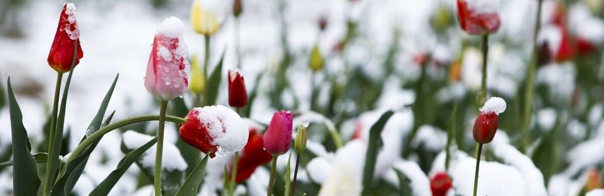 ����: 056.ua