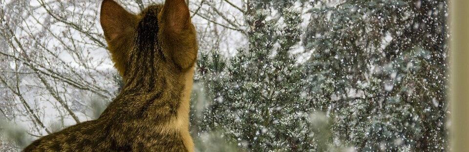  ������ ����� ����������� ������� ������ ������� ����� 