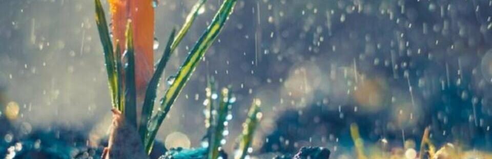 ����: 056.ua