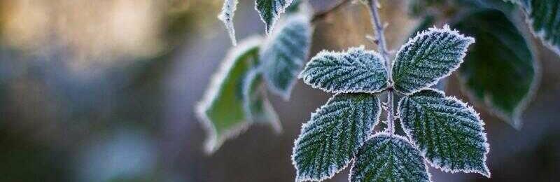  ������ ����������� ������ ��������� ���� ���� ������ ����� 