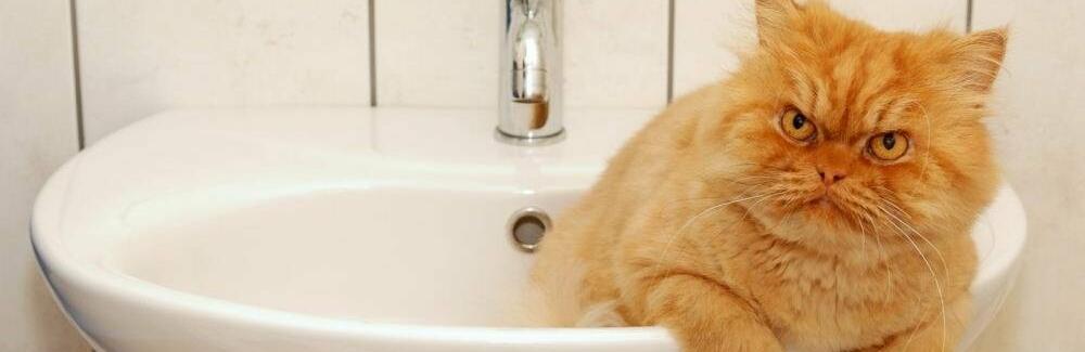  ���� ����� ���� ���� ���� ������� 