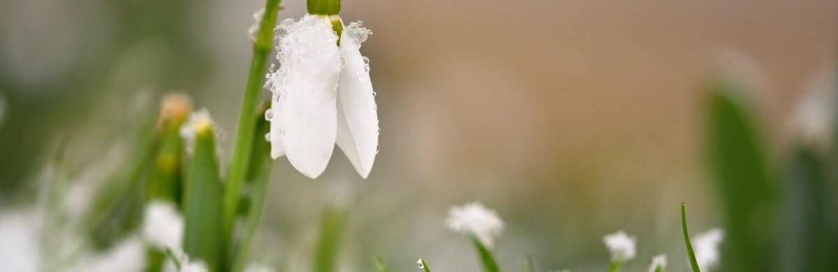  ������ ����������� ��������� ���� ���� ���� ������ ����� 