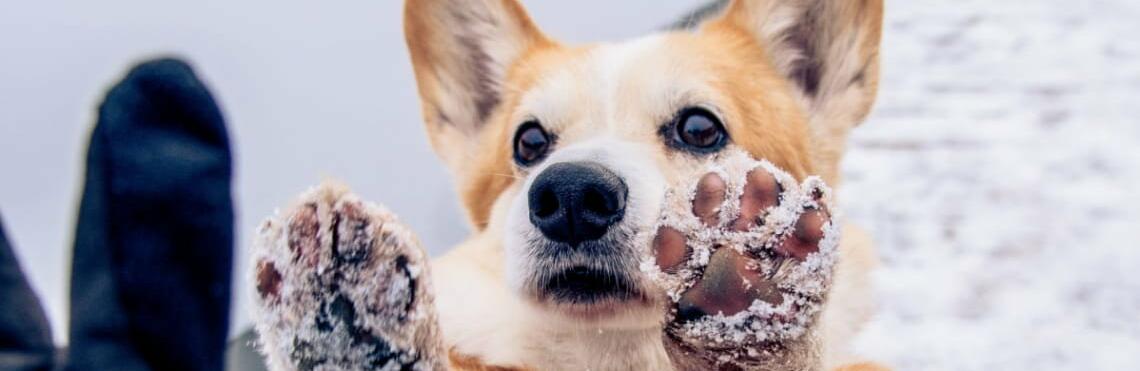  �������� ��������� ���������� ����������� ����� ����� ����� 