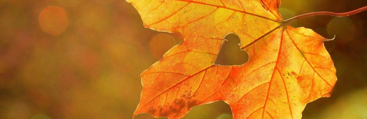  ������ ����� ������� ������ ������ ����� 