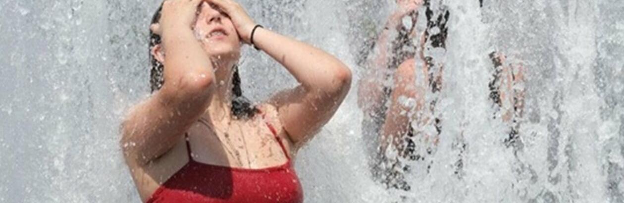  ������ ����� ���� ���������� ���� ���� ������ ����� 