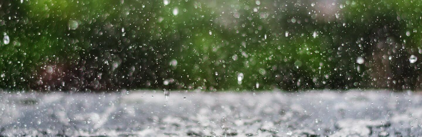  ������ ������ ��������� ������ ���� ���� ������ ����� 