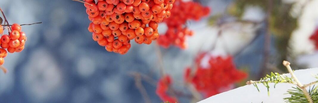  ������ ��������� ����� ���� ��������� ������� ������ ����� 