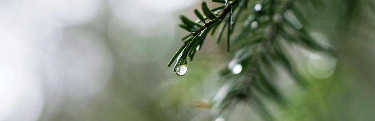  ������ ����� �������� ������ ������� ������ ������� ����� 