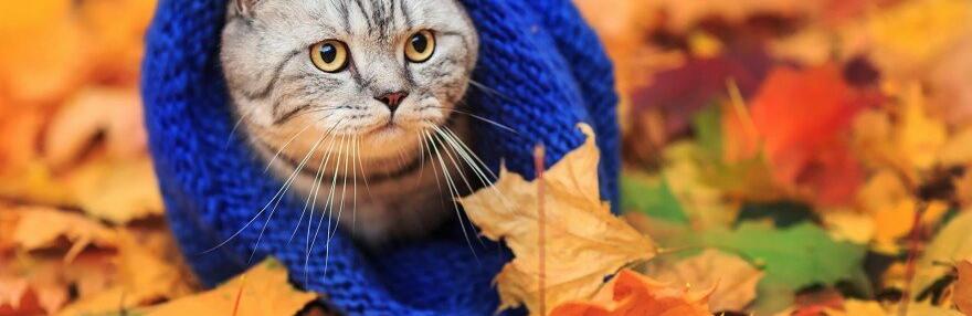  ���� ������� ������ ���� ������������ ������� ������ ������� 