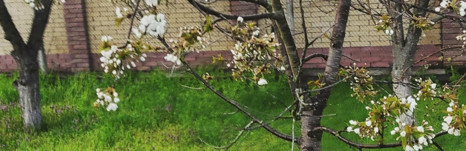  ����� ��������� ����� ����� ������ �������� ������ 