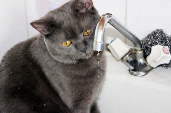  ��������� ����� �� ���� �������� ������ ���� ���������� 