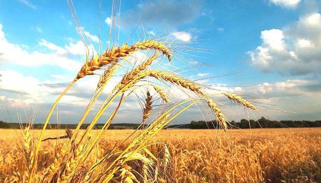  ������ ����������� ����� ������� ������ ������ ����� 