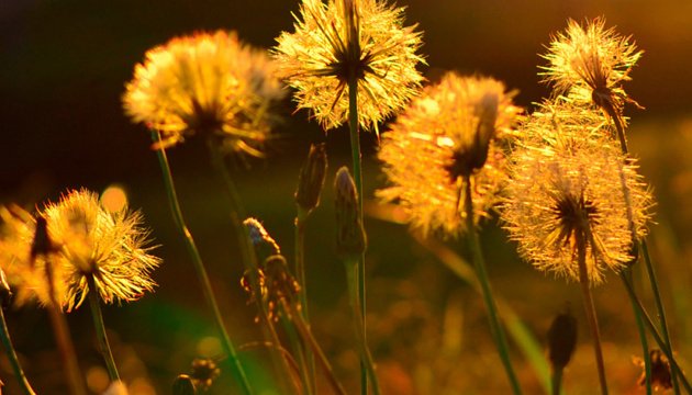  ���� ������ ���� ������ ����� ��������� ������� ������� 