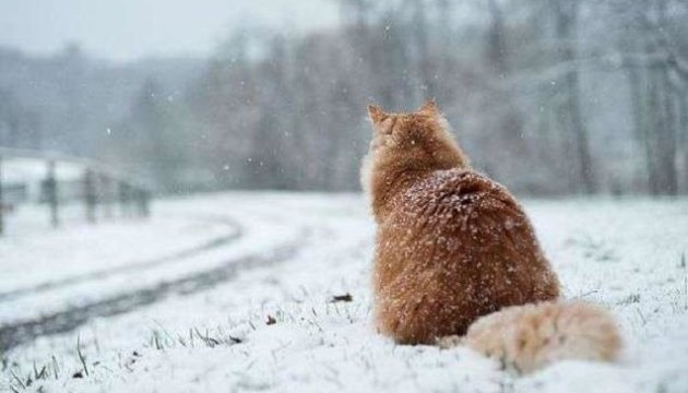  ������ ����� �������� ����������� ����� ������� ������ ������� 