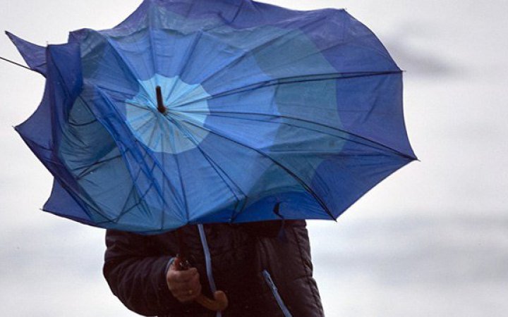  ����� ������ ��������� ��������� ������ ����� ������������ 