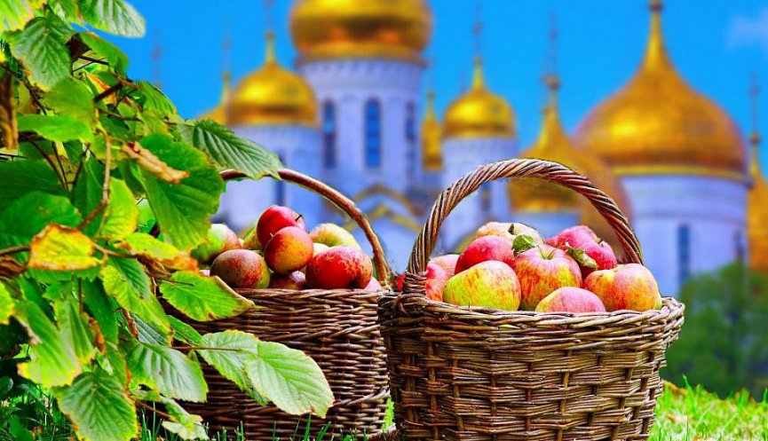  �������� ���� �������� �������� �������� 