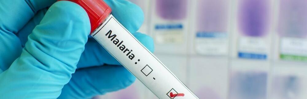  ����� �������� ������������ ������ 