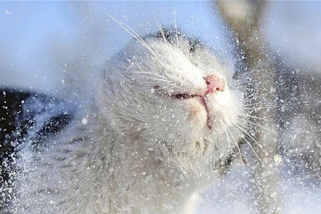  ���� ����� �������� ���� ������ ��������� ����� ����� 